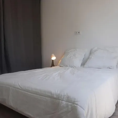 Apartamento Le Dauphin Du *