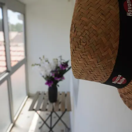 Apartamento Le Dauphin Du *