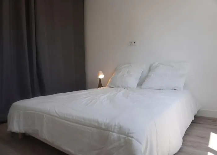 Apartamento Le Dauphin Du Clim Terrasse *
