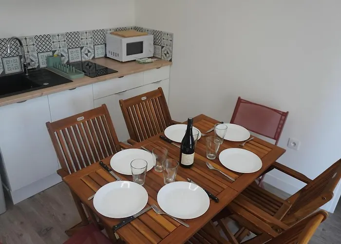 Le Dauphin Du Clim Terrasse Apartamento *