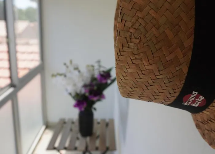 Apartamento Le Dauphin Du Clim Terrasse *